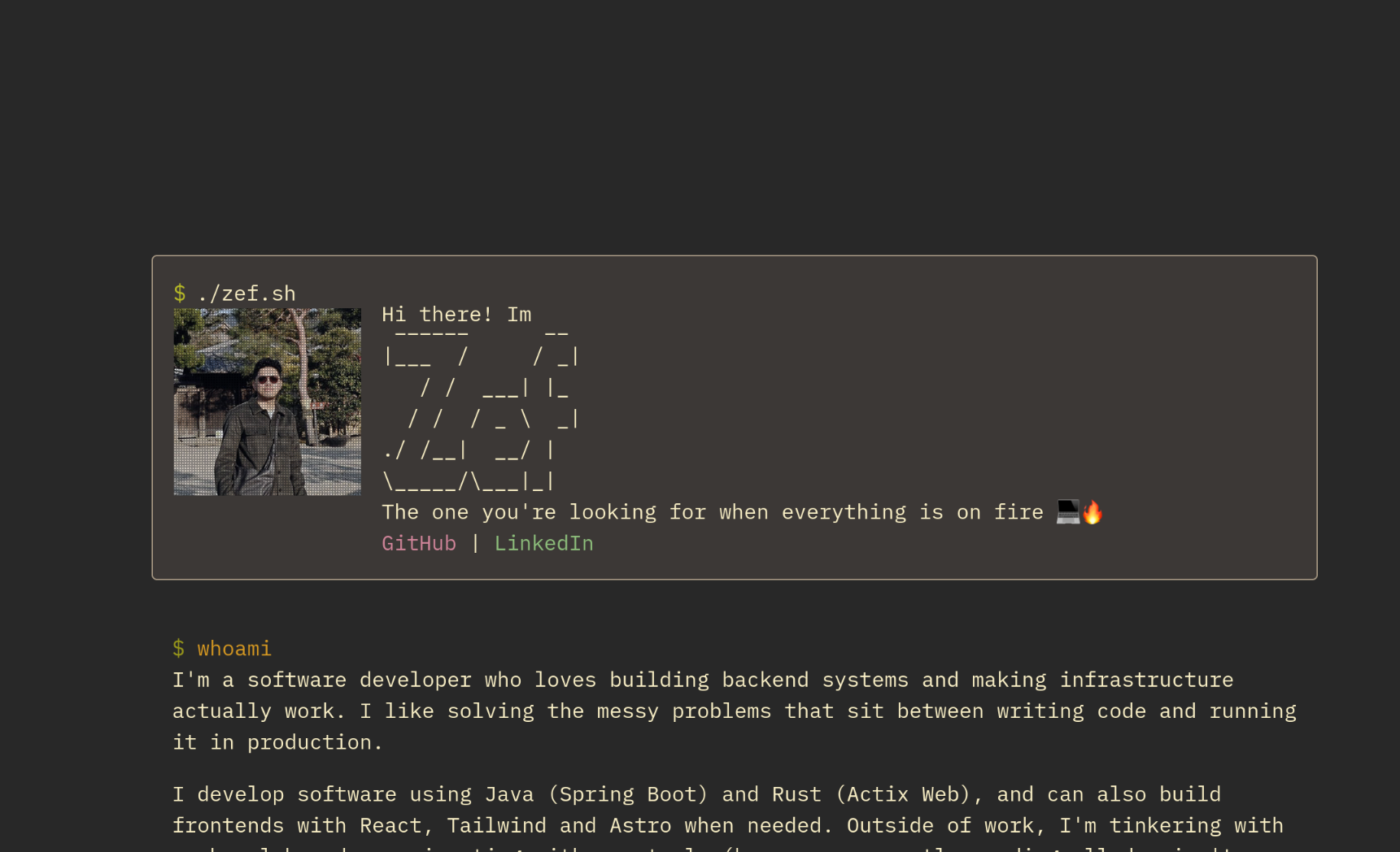 Screenshot of zef.sh